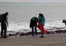 Científicos de la Basura revelan resultados monitoreo participativo de Chile y Latinoamérica