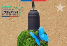 Crece Sostenible: primer programa de sostenibilidad para microempresas y cooperativas de Sercotec