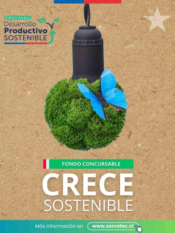 Crece Sostenible: primer programa de sostenibilidad para microempresas y cooperativas de Sercotec