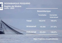 Desembarque pesquero de la Región del Biobío totalizó 102.815 toneladas en junio de 2025