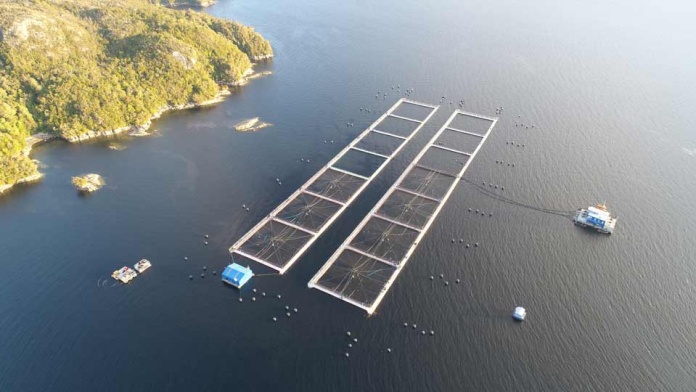 Exportaciones de salmón caen un 1,5% en el primer semestre de 2025 y suman dos años consecutivos a la baja Exportaciones de salmón caen un 1,5% en el primer semestre de 2025 y suman dos años consecutivos a la baja