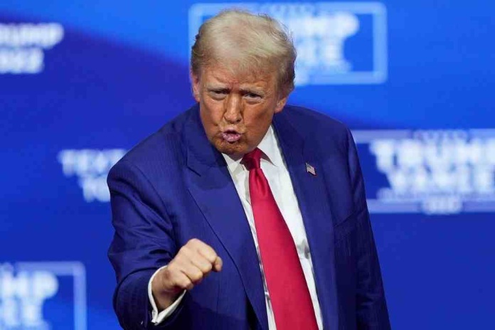 Golpe de Trump al cobre: anuncia arancel de 50% a las importaciones