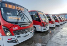 Incorporan 10 nuevos buses estándar RED al transporte público de Punta Arenas