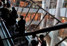 Informe Expectativas de los Consumidores