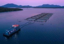 MULTI X obtiene dos innovadoras patentes que potencian la eficiencia en operaciones de agua de mar