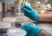 Más de 11 mil millones disponibles para empresas de base científico tecnológico en Startup Ciencia Más de 11 mil millones disponibles para empresas de base científico tecnológico en Startup Ciencia
