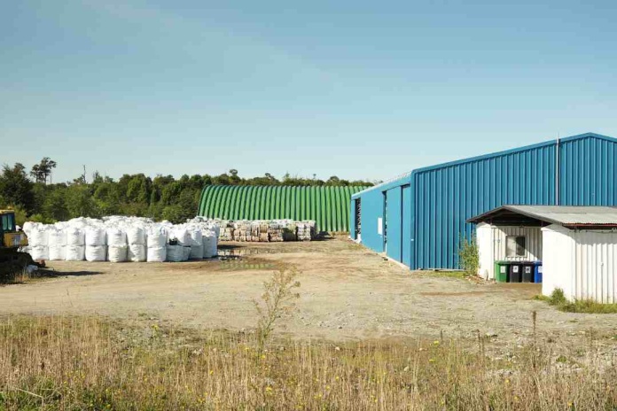 Territorio Vivo: Puerto Varas será sede del primer festival que une arquitectura, educación ambiental y ciudadanía