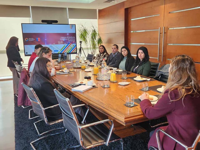 Oportunidad de financiamiento para Auditorías Energéticas en Medianas Empresas