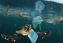 Buscan 10 soluciones innovadoras para acelerar la circularidad de los plásticos