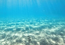 Cañón Submarino del Biobío