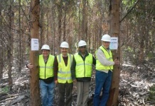 Con proyectos de sostenibilidad ambiental, Celulosa Arauco y Movener ganan el Premio PwC Chile Innovación 2025 