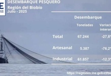 Desembarque pesquero de la Región del Biobío totalizó 67.244 toneladas en julio de 2025 Desembarque pesquero de la Región del Biobío totalizó 67.244 toneladas en julio de 2025