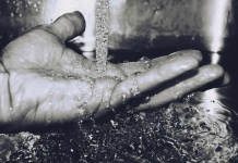 Digitalización notarial permite ahorrar 385 millones de litros de agua al año