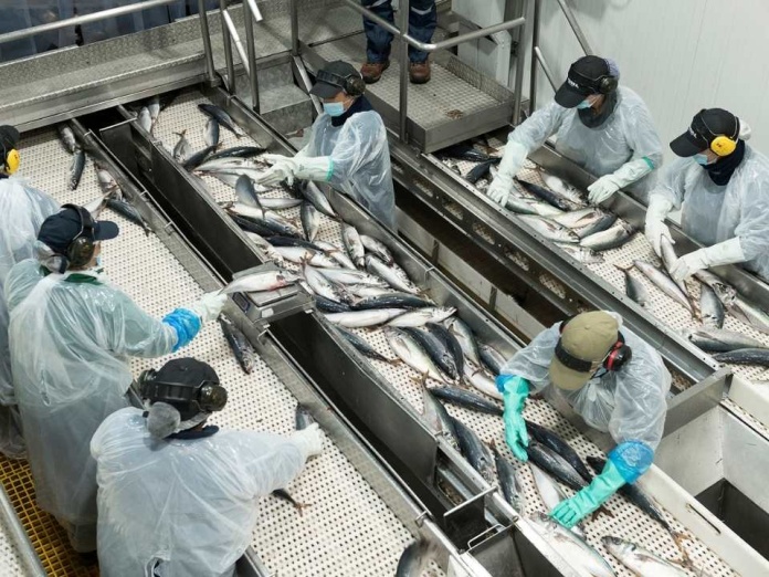 Economía circular, seguridad y defensa del empleo marcan último reporte de sostenibilidad de Landes