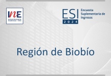 El ingreso laboral promedio mensual en la Región de Biobío fue de $800.340 en 2024