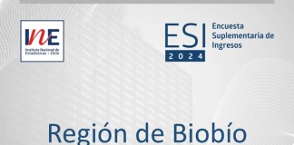 El ingreso laboral promedio mensual en la Región de Biobío fue de $800.340 en 2024