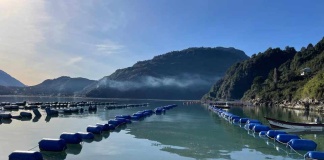 Expertos-Incar-colaboran-en-marco-global-para-la-adaptación-de-la-acuicultura-al-cambio-climático-de-la-FAO