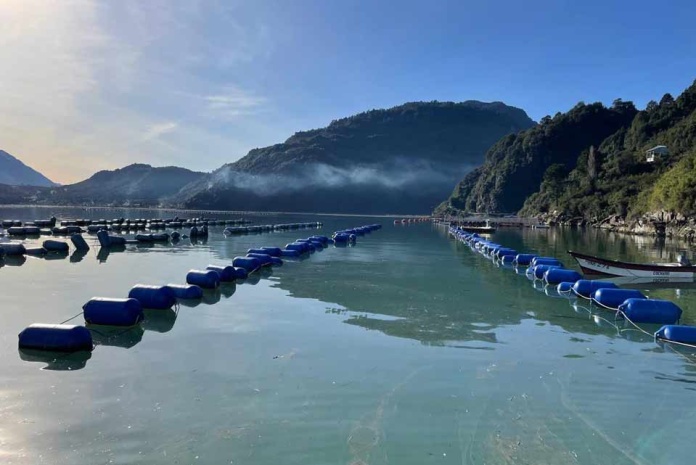 Expertos-Incar-colaboran-en-marco-global-para-la-adaptación-de-la-acuicultura-al-cambio-climático-de-la-FAO