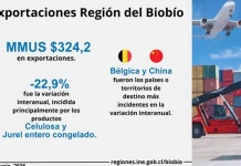 Exportaciones de la Región del Biobío disminuyeron 22,9% interanualmente Exportaciones de la Región del Biobío disminuyeron 22,9% interanualmente