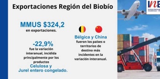 Exportaciones de la Región del Biobío disminuyeron 22,9% interanualmente