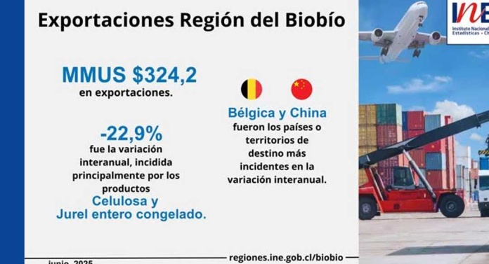 Exportaciones de la Región del Biobío disminuyeron 22,9% interanualmente