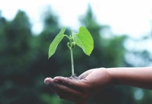 Industrias intensifican su transición hacia la sostenibilidad con tecnologías de trazabilidad y eficiencia operativa