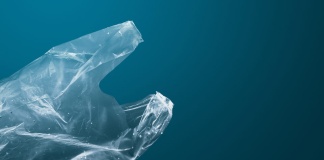 Más allá de la bolsa plástica: guía para un consumo responsable con el medio ambiente