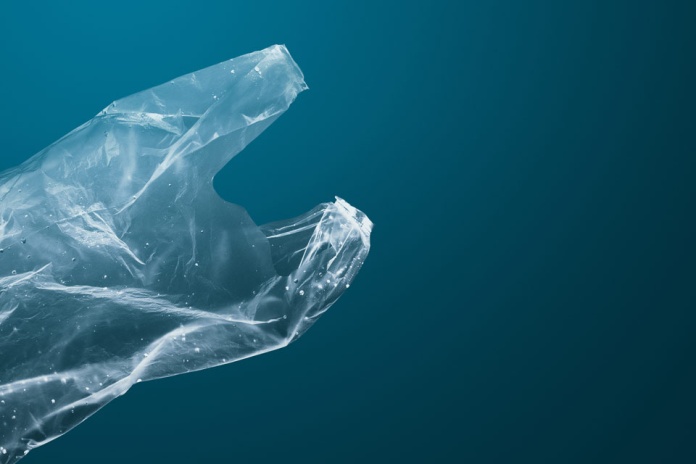 Más allá de la bolsa plástica: guía para un consumo responsable con el medio ambiente