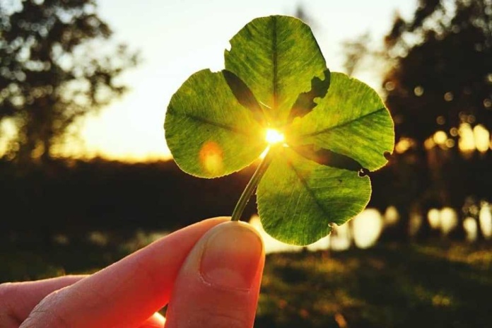 Mi Casino Chile: Donde la Suerte y la Diversión se Cruzan