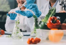 Premio Nacional de Innovación Alimentaria reconocerá los productos y servicios más destacados de la industria Premio Nacional de Innovación Alimentaria reconocerá los productos y servicios más destacados de la industria