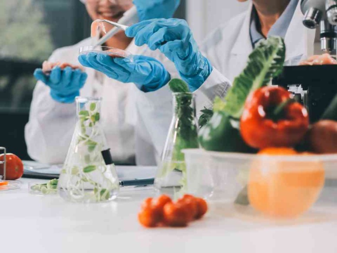 Premio Nacional de Innovación Alimentaria reconocerá los productos y servicios más destacados de la industria