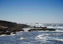 ¿Qué pasa con la diversidad marina tras un tsunami?