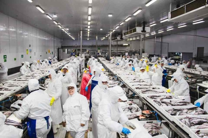 Trabajadoras de la pesca industrial del Biobío advierten: 