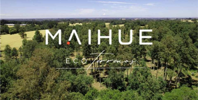 Vivir rodeado de naturaleza ya no es un sueño: Maihue Eco Terrenos lo hace realidad