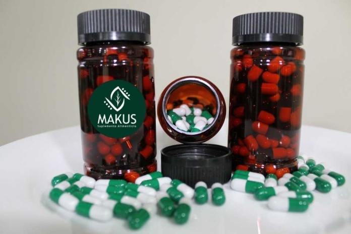 Innovación desde Aysén convierte hojas de maqui en cápsulas antioxidantes validadas científicamente