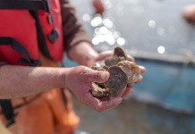 Alimex estará presente en Food & Service 2025 en Espacio Riesco