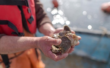 Alimex estará presente en Food & Service 2025 en Espacio Riesco