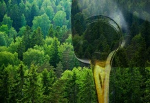 Biometil Resuelve el Desafío de Residuos Industriales con Soluciones de Aceite Reciclado y Certificación ISO 14001