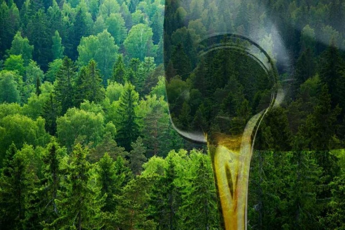 Biometil Resuelve el Desafío de Residuos Industriales con Soluciones de Aceite Reciclado y Certificación ISO 14001