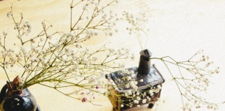 Corfo Aysén respalda a Jauken en hito nacional la primera paleta de ecomaquillaje vegano y multiuso registrada en el ISP (1)