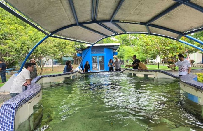 Departamento de Acuicultura UCN apoyará a Costa Rica en el desarrollo de dietas para peces y el cultivo de bivalvos