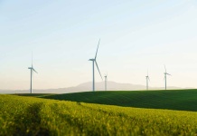 El hidrógeno verde y su rol clave para la descarbonización en Chile