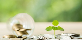 Finanzas verde al alza: inversionistas aumentan su interés por bonos amigables con el medio ambiente