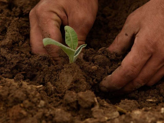 Gestión hídrica y agricultura regenerativa: la ruta hacia la sostenibilidad del agro en Valparaíso