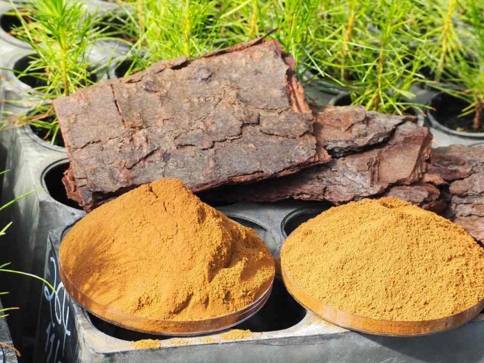 HUBTEC y CMPC lanzan convocatoria a universidades, centros de investigación y startups para innovar en aplicaciones de la lignina kraft