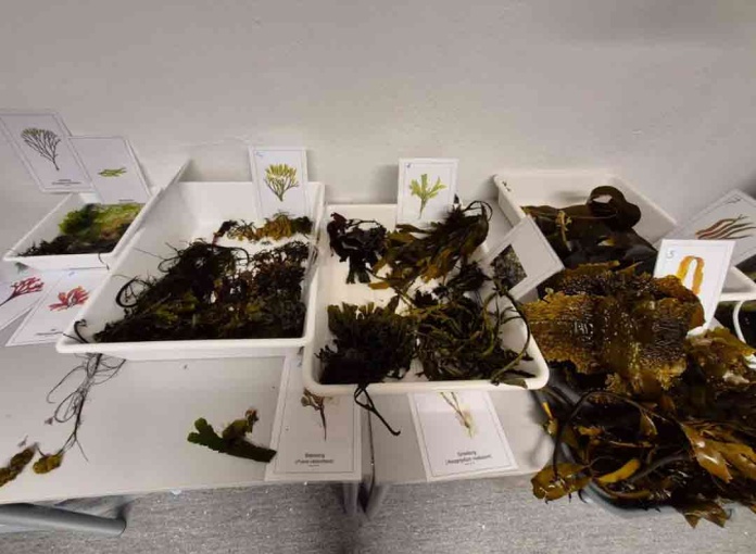 Investigadora de ULagos realiza pasantía en Noruega y anuncia workshop internacional en Puerto Montt Investigadora de ULagos realiza pasantía en Noruega y anuncia workshop internacional en Puerto Montt