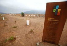 Después de 12 años de tramitación, Corte Suprema cierra debate ambiental por Dominga, con lo que se consolida su RCA