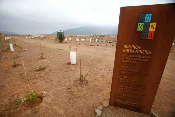 Después de 12 años de tramitación, Corte Suprema cierra debate ambiental por Dominga, con lo que se consolida su RCA