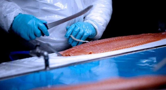 Rusia podría prohibir ingreso de pescados y mariscos chilenos: acusa 