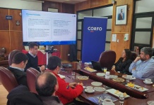 Se inicia el PTI Industria Sostenible del Salmón: sesión de gobernanza marca un antes y un después para la cadena de valor acuícola en Los Lagos